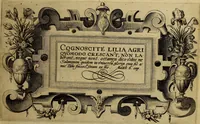 Picture 1 of 72 from Cognoscite lilia agri quomodo crescant (1614), leaf 8