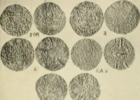 An illustration from Coins and chronology of the early independent sultans of Bengal (1922)