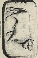An illustration from Coins, medals, and seals, ancient and modern. Illustrated and described. With a sketch of the history of coins and coinage, instructions for young collectors, tables of comparative rarity, price lists of English and American coins, medals and tokens, &c., &c (1861)