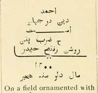 Picture 3 of 22 from The coins of Haidar Ali and Tipu Sultan (1921), leaf 55