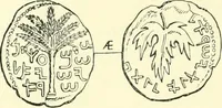 Picture 33 of 85 from Coins of the Jews (1881), leaf 221