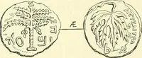 Picture 57 of 85 from Coins of the Jews (1881), leaf 257