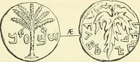 Picture 62 of 85 from Coins of the Jews (1881), leaf 262