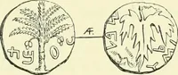 Picture 63 of 85 from Coins of the Jews (1881), leaf 262