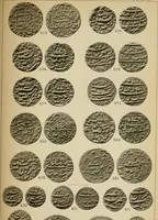 Picture 50 of 84 from The coins of the Moghul emperors of Hindustan in the British museum (1892), leaf 598