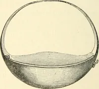 An illustration from Coins of the Romans relating to Britain, described and illustrated (1844)