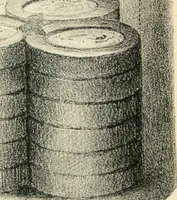 Picture 2 of 40 from Coins of the Romans relating to Britain, described and illustrated (1844), leaf 7