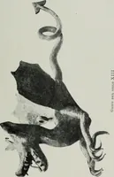 An illustration from ColecciÃ³n de hierros de Santiago RusiÃ±ol (1910)