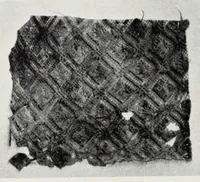 Picture 1 of 18 from Collection d'anciennes étoffes : réunies et décrites (1901), leaf 20