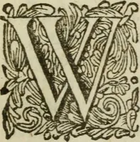 An illustration from Collectanea medico-physica, oft, Hollands jaar-register der genees- en natuur-kundige aanmerkingen van gantsch Europa &c. : beginnende met het jaar MDCLXXX : door eigen ondervinding en gemeen-making van verscheide heeren en liefhebbers (1680)