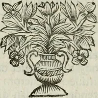 An illustration from Collectanea medico-physica, oft, Hollands jaar-register der genees- en natuur-kundige aanmerkingen van gantsch Europa &c. : beginnende met het jaar MDCLXXX : door eigen ondervinding en gemeen-making van verscheide heeren en liefhebbers (1680)