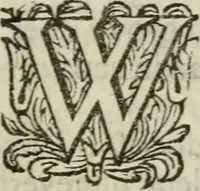 An illustration from Collectanea medico-physica, oft, Hollands jaar-register der genees- en natuur-kundige aanmerkingen van gantsch Europa &c. : beginnende met het jaar MDCLXXX : door eigen ondervinding en gemeen-making van verscheide heeren en liefhebbers (1680)