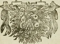 An illustration from Collectanea medico-physica, oft, Hollands jaar-register der genees- en natuur-kundige aanmerkingen van gantsch Europa &c. : beginnende met het jaar MDCLXXX : door eigen ondervinding en gemeen-making van verscheide heeren en liefhebbers (1680)