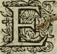 An illustration from Collectanea medico-physica, oft, Hollands jaar-register der genees- en natuur-kundige aanmerkingen van gantsch Europa &c. : beginnende met het jaar MDCLXXX : door eigen ondervinding en gemeen-making van verscheide heeren en liefhebbers (1680)