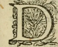 An illustration from Collectanea medico-physica, oft, Hollands jaar-register der genees- en natuur-kundige aanmerkingen van gantsch Europa &c. : beginnende met het jaar MDCLXXX : door eigen ondervinding en gemeen-making van verscheide heeren en liefhebbers (1680)