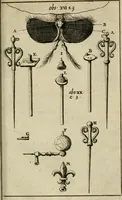 An illustration from Collectanea medico-physica, oft, Hollands jaar-register der genees- en natuur-kundige aanmerkingen van gantsch Europa &c. : beginnende met het jaar MDCLXXX : door eigen ondervinding en gemeen-making van verscheide heeren en liefhebbers (1680)
