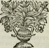 An illustration from Collectanea medico-physica, oft, Hollands jaar-register der genees- en natuur-kundige aanmerkingen van gantsch Europa &c. : beginnende met het jaar MDCLXXX : door eigen ondervinding en gemeen-making van verscheide heeren en liefhebbers (1680)