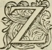 An illustration from Collectanea medico-physica, oft, Hollands jaar-register der genees- en natuur-kundige aanmerkingen van gantsch Europa &c. : beginnende met het jaar MDCLXXX : door eigen ondervinding en gemeen-making van verscheide heeren en liefhebbers (1680)