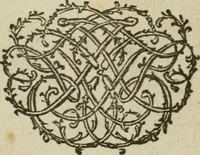 An illustration from Collectanea medico-physica, oft, Hollands jaar-register der genees- en natuur-kundige aanmerkingen van gantsch Europa &c. : beginnende met het jaar MDCLXXX : door eigen ondervinding en gemeen-making van verscheide heeren en liefhebbers (1680)