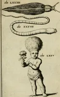 An illustration from Collectanea medico-physica, oft, Hollands jaar-register der genees- en natuur-kundige aanmerkingen van gantsch Europa &c. : beginnende met het jaar MDCLXXX : door eigen ondervinding en gemeen-making van verscheide heeren en liefhebbers (1680)