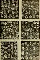 An illustration from Collecting as a pastime (1920)