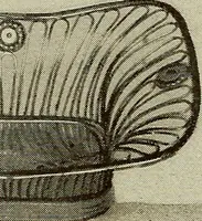 An illustration from Collecting as a pastime (1920)