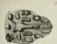 An illustration from Collection Carrand au Bargello (1895)