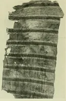 An illustration from Collection d'anciennes étoffes, réunies et décrites (1901)