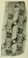 An illustration from Collection d'anciennes étoffes, réunies et décrites (1901)