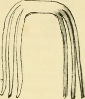 Picture 82 of 195 from Collection de chirurgiens grecs avec dessins attribués au Primatice. Reproduction réduite des 200 dessins du Manuscrit latin 6866 de la Bibliothèque nationale (1908), leaf 106