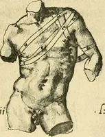 Picture 93 of 195 from Collection de chirurgiens grecs avec dessins attribués au Primatice. Reproduction réduite des 200 dessins du Manuscrit latin 6866 de la Bibliothèque nationale (1908), leaf 114