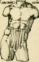Picture 122 of 195 from Collection de chirurgiens grecs avec dessins attribués au Primatice. Reproduction réduite des 200 dessins du Manuscrit latin 6866 de la Bibliothèque nationale (1908), leaf 130
