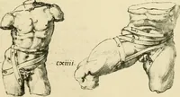 An illustration from Collection de chirurgiens grecs avec dessins attribués au Primatice. Reproduction réduite des 200 dessins du Manuscrit latin 6866 de la Bibliothèque nationale (1908)