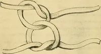 Picture 145 of 195 from Collection de chirurgiens grecs avec dessins attribués au Primatice. Reproduction réduite des 200 dessins du Manuscrit latin 6866 de la Bibliothèque nationale (1908), leaf 154