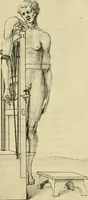 Picture 181 of 195 from Collection de chirurgiens grecs avec dessins attribués au Primatice. Reproduction réduite des 200 dessins du Manuscrit latin 6866 de la Bibliothèque nationale (1908), leaf 206