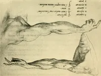 An illustration from Collection de chirurgiens grecs avec dessins attribués au Primatice. Reproduction réduite des 200 dessins du Manuscrit latin 6866 de la Bibliothèque nationale (1908)