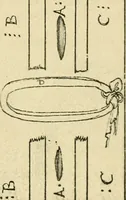 Picture 25 of 195 from Collection de chirurgiens grecs avec dessins attribués au Primatice. Reproduction réduite des 200 dessins du Manuscrit latin 6866 de la Bibliothèque nationale (1908), leaf 72
