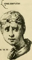 Picture 53 of 195 from Collection de chirurgiens grecs avec dessins attribués au Primatice. Reproduction réduite des 200 dessins du Manuscrit latin 6866 de la Bibliothèque nationale (1908), leaf 88