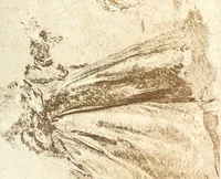 Picture 27 of 47 from Collection des Goncourt; dessins, aquarelles et pastels du 18e siècle (1897), leaf 139