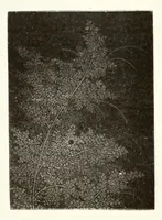 Picture 3 of 18 from Collection J. Garie, objets d'art et peintures du Japon et de la Chine (1906), leaf 54
