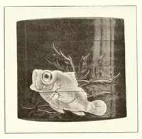 Picture 5 of 18 from Collection J. Garie, objets d'art et peintures du Japon et de la Chine (1906), leaf 83