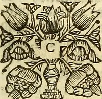 An illustration from A collection of articles, injunctions, canons, orders, ordinances, and constitutions ecclesiastical; with other publick records of the Church of England, chiefly in the times of K. Edward VI., Q. Elizabeth, K. James, & K. Charles I (1684)