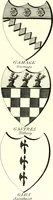 Picture 64 of 169 from A Collection of coats of arms borne by the nobility and gentry of the county of Glocester (1792), leaf 100