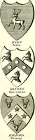 Picture 73 of 169 from A Collection of coats of arms borne by the nobility and gentry of the county of Glocester (1792), leaf 108