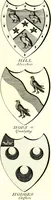 An illustration from A Collection of coats of arms borne by the nobility and gentry of the county of Glocester (1792)