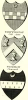 Picture 145 of 169 from A Collection of coats of arms borne by the nobility and gentry of the county of Glocester (1792), leaf 162