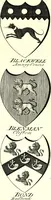Picture 162 of 169 from A Collection of coats of arms borne by the nobility and gentry of the county of Glocester (1792), leaf 176