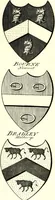 Picture 163 of 169 from A Collection of coats of arms borne by the nobility and gentry of the county of Glocester (1792), leaf 178