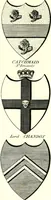Picture 39 of 169 from A Collection of coats of arms borne by the nobility and gentry of the county of Glocester (1792), leaf 78