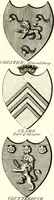 Picture 40 of 169 from A Collection of coats of arms borne by the nobility and gentry of the county of Glocester (1792), leaf 80